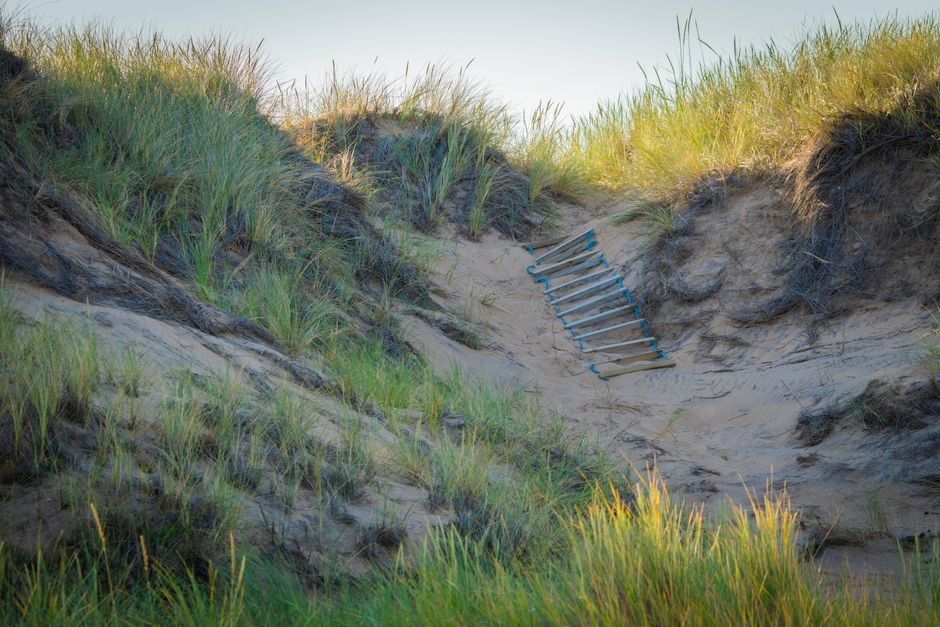 Sand dunes with green grass, featuring a metal ladder pathway leading through the landscape