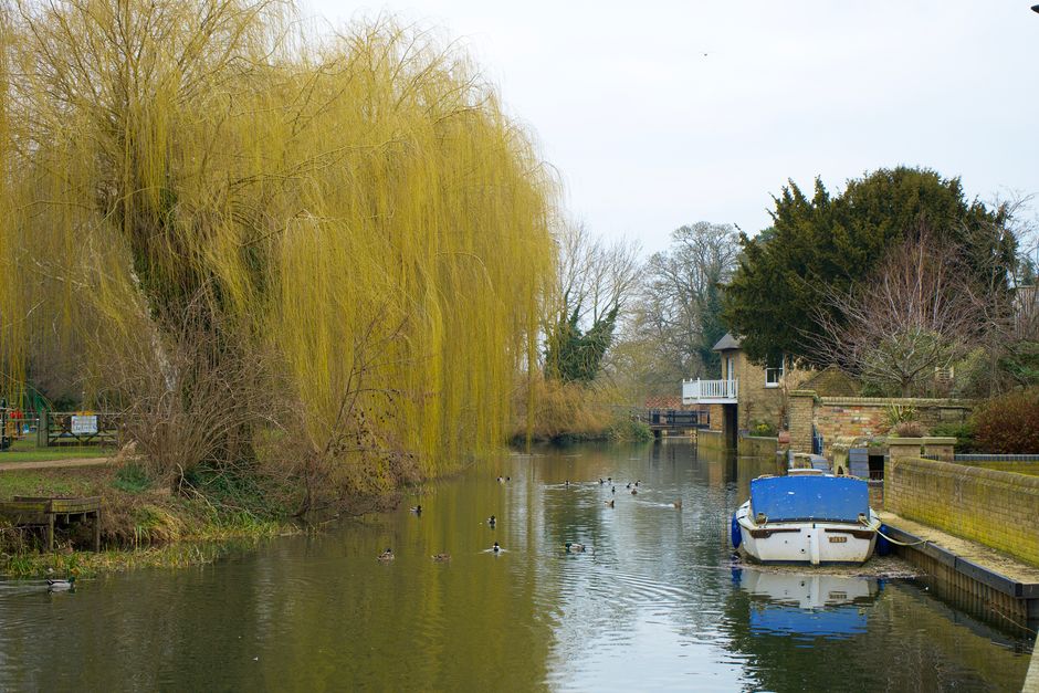 Tranquil scene with a motorboat and weeping willow by the river in Godmanchester, UK