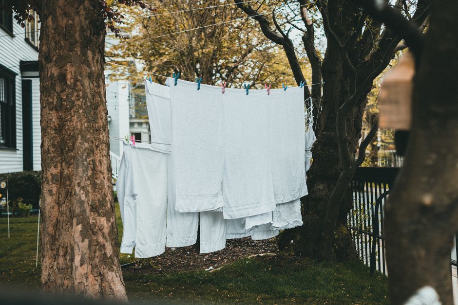 White laundry drying on a clothesline between trees in a backyard setting