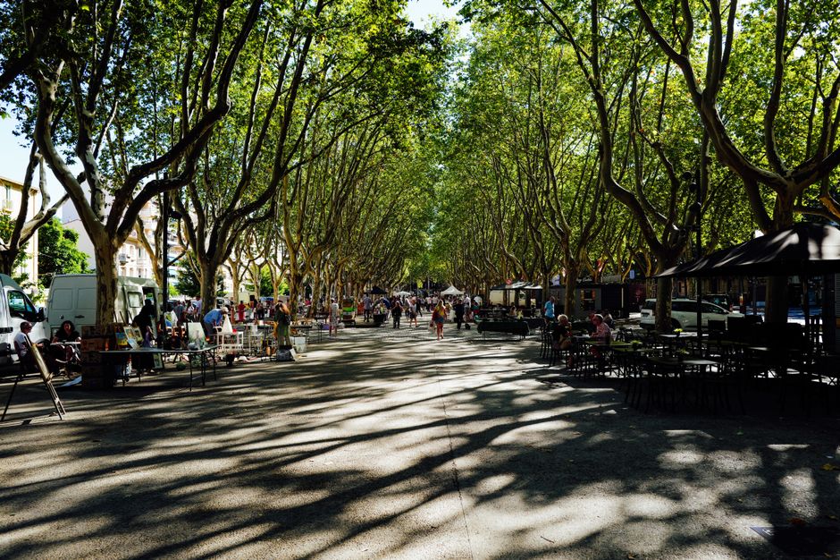 How to Build a Summer Routine Around Evening Walks How to Build a Summer Routine Around Evening Walks